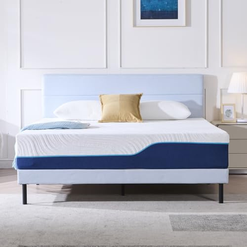 Hiimgo Matelas 140x190x25 cm Orthopédique Mémoire de Forme