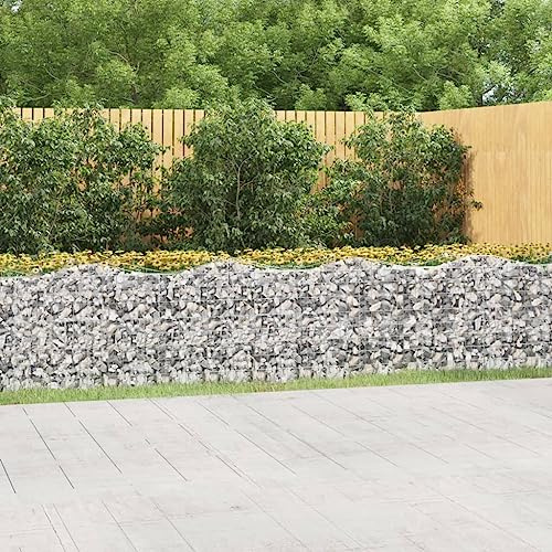 Panier de Gabion, Gabion pour Pierre Panier à Pierre Lit surélevé à gabions arqué 800x100x100 cm Fer galvanisé