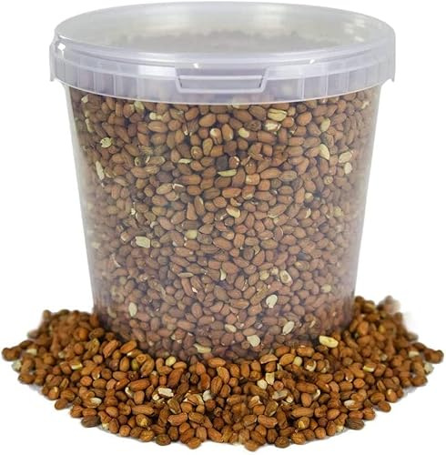 BusyBeaks Premium Whole Peanuts (2.5L) for Wild Birds - High-Energy Bird Food & Nuts - Natural, Aflatoxin Free Wild Bird Peanuts, Nutritious Feed for Garden Birds & Squirrels