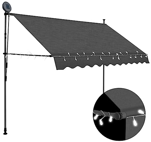 Willood Einziehbare Markise mit Handkurbel Balkon Balkon mit LED 300 cm Anthrazit
