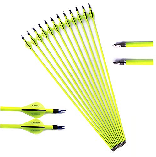 500 Spine Flèches 30 Flèches pour Arcs à Poulies Diamètre Intérieur 6.2mm 30 pouces Flèche de Carbone Pointe en Acier 20/25/30/35/40/65 livres Arc Recurve Tir à l'arc Chasse Tir Cible d'entrainement