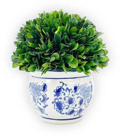 Galt International 7 Naturally Preserved Real Boxwood Ball in Hand-Painted Blue & White Round Bulb China Pot Planter Green Indoor Plant Home Decor (Small 7 Tall Topiary)