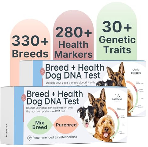 Basepaws Dog DNA Test Kit 2 Pack - 330+ Breeds, 280+ Health Risks, and 30+ Traits - Comprehensive Mixed Breed Identification, Pet DNA Test kit, Canine Genetic Ancestry and Heritage