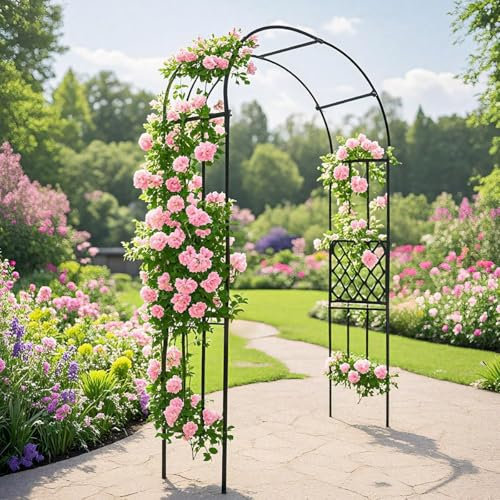 Arco Metallo Da Giardino, 120 180 200 230 240 250 300 cm L Archetto Di Matrimoni, Supporto Per Rose Per Esterni, Traliccio Pergolato Per Varie Piante Rampicanti, Decorazione Eventi(180W x 240H cm)