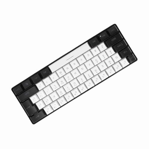 Jiawu Mini RGB-tangentbord 61 Tangenter Kabelanslutet Speltangentbord med LED-bakgrundsbelysning, Ergonomisk Mekanisk Känsla Typ C-tangentbord för PC, Kontor, Företag - Flera RGB-lägen (Vit)