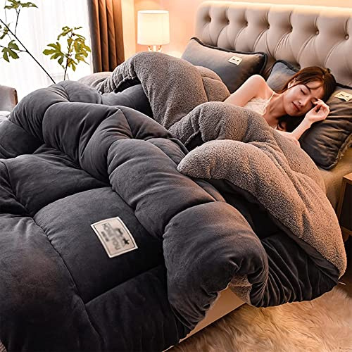 TUCVZVO Couette 4 saisons, couette d'hiver en cachemire d'agneau épais, couverture moelleuse, noyau en velours d'agneau, couverture d'hiver chaude, A, 220 x 240 cm (5 kg)