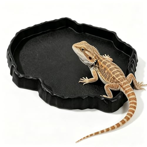SHIQUAN Reptile Water Bowl, 18 x 14 x 2 cm Rock Feeding Plate | Tortoise Water Dish, Tortoise Accessories, for Lizards, Tortoises and the Like(Dark green)