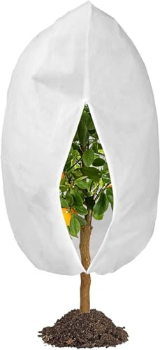 MYOWELL Protección invernal para plantas, 80 x 100 cm, protección contra heladas, saco para plantas en macetas, translúcido y transpirable para palmeras, olivos, árboles frutales (blanco, con
