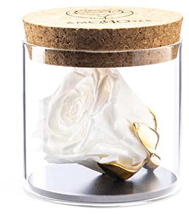 Amoroses Bijou - Ewige stabilisierte Rose mit 24 Karat vergoldetem Kelch im Glasgefäß | Geschenkidee (Rose Weiß)