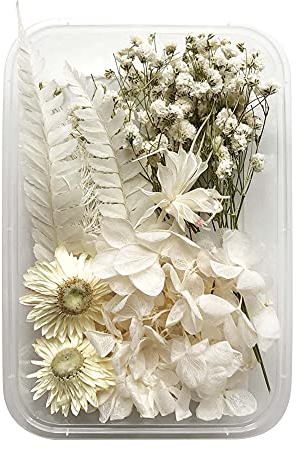 1 Unids Conjunto De Flores Secas,Planta De Flores Secas Real para Vela De Aromaterapia,Resina epoxi para Collar Colgante De Joyas,Accesorios De Bricolaje Flores Artificiales Decoraciones Set