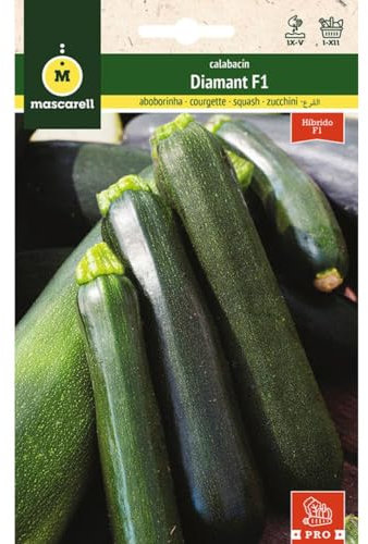 Mascarell Semillas, CALABACÍN, Semillas Huerto, CALABACÍN DIAMANT F1, Crea tu Propio Huerto Urbano y Cultivo en Casa, Plantas Hortícolas, 3 Gramos
