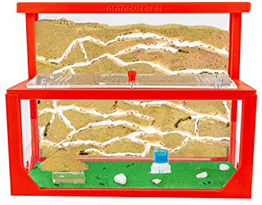 AntHouse - Fattoria di formiche di sabbia naturale 3D | Modello L (Sandwich + Food Box) Rosso | Compreso il formicaio