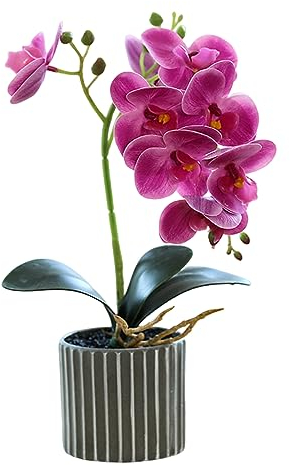 Fake Plants Decorative Artificial Flora 12.6 Inch Tall Realistic Artificial Orchid Plant In A Pot Real Touch Decorative Bonsai Fake Flowers Artificial Flowers In Vase Artificial Plants Indoor Purple