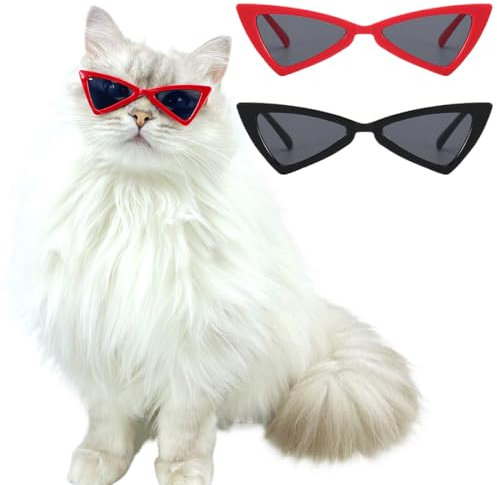 PBAHAUP Sonnenbrillen für Hunde, 2 Stück Hundebrille für Kleine Hunde, UV-Schutz, Winddicht, Motorradbrille, Outdoor Aktivitäten