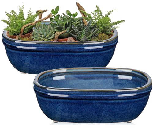 Oairse Set di 2 vasi bonsai in ceramica con fori di drenaggio per piante d'appartamento giapponesi, decorazione retrò per set di contenitori da giardino all'aperto, diametro apertura 16 cm