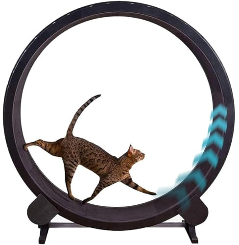Rueda de ejercicio para gatos, caminadora de madera maciza natural con cerraduras y alfombra, para pérdida de peso y actividad en interiores