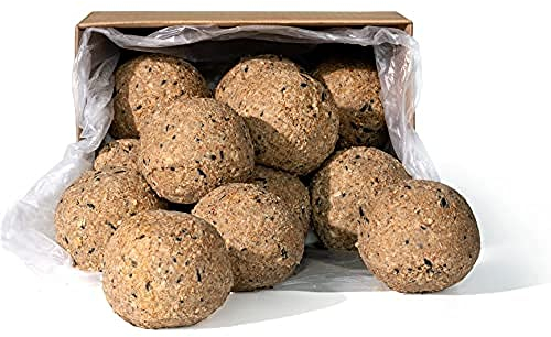 Erdtmanns Meisenknödel XXL ohne Netz im Katon, 1er Pack (1 x 6 kg)