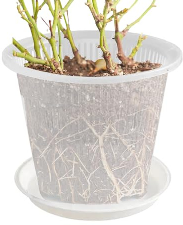 Maceta para orquídeas, maceta para orquídeas, maceta de malla para orquídeas con agujeros para interiores, transparente, accesorios para el hogar, para flores, rosas, orquídeas, pensamientos, cactus