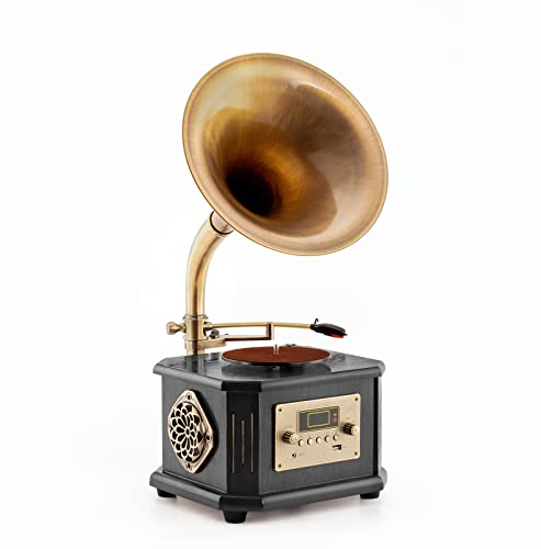 Retro Plattenspieler, Schallplattenspieler mit Bluetooth, Phonograph, FM-Radio, Bedienung per Fernbedienung