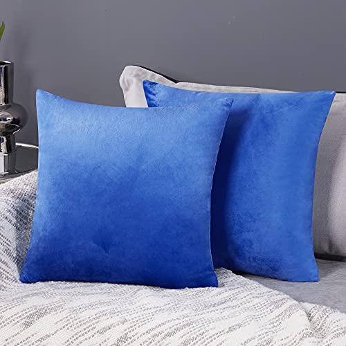 Deconovo Luxury Velvet Square Pillow Case Cushion Covers with Folded Zip for Sofa, Living Room, Office, Set of 2, Blue 41 x 41 cm