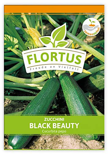 FLORTUS Zucchini Black Beauty | Gemüsesamen | Zucchinisamen | Samen zur Anzucht für Garten, Balkon, Küche & Fensterbank