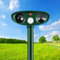 Repelente de gato solar, repelente de gato ultrasónico exterior, repelente ultrasónico anti roedores con detector de movimiento, repelente de gatos al aire libre para gatos, ratones animales de jardín
