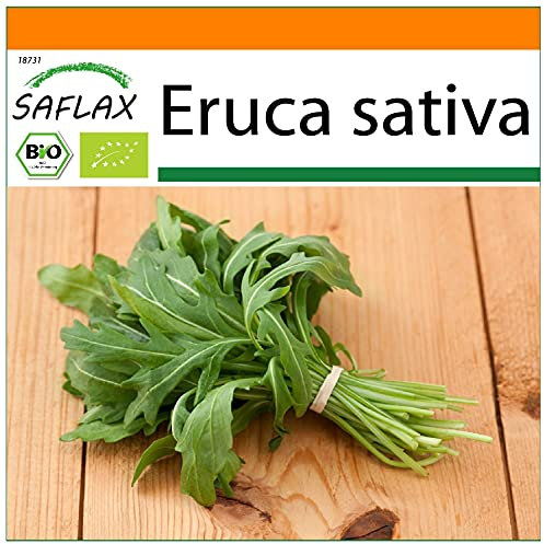 SAFLAX - Jardin dans le sac - BIO - Roquette - 3000 graines - Avec substrat de culture dans un sac de levage facile à manipuler. - Eruca sativa
