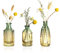 Joeyan 3er Set Vintage Kleine Glasvasen für tischdeko - Farbverlauf Desktop Blumenvase - Geprägte Knospenvase,Vase für Einzelne Rose für Hochzeiten, Party, Events Dekorieren Arrangements