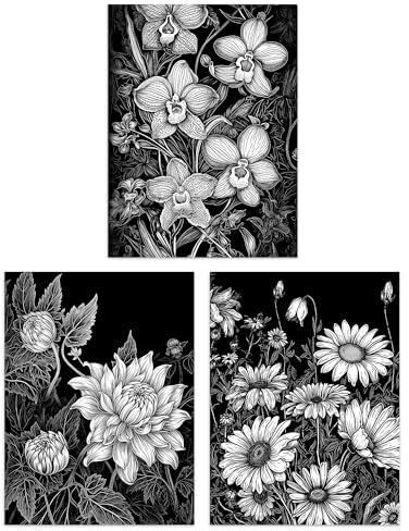 Artery8 Set of 3 Elegant Dahlia Daisy and Orchid Flowers Floral Black and White Striking Impact Artwork Unframed Wall Art Living Room Poster Prints Pack