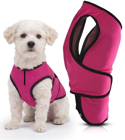 Lautus Pets Small Dog Cooling Vest - Easy On/Off Cooling Coat with Double Quick-Adjust Strap & Zip Neck, Lightweight & Portable Cooling Jacket for Dogs, Perfect for Dog Owners, Walkers & Sitters