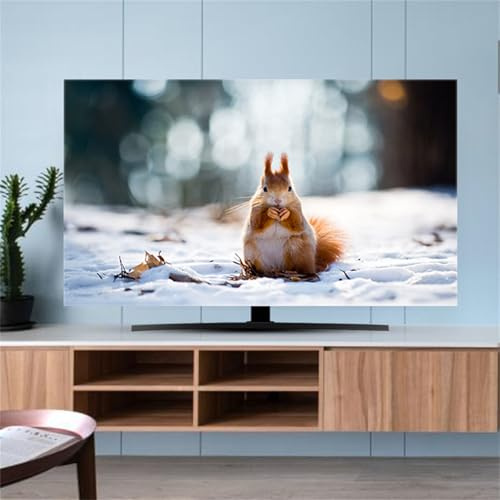 Hixingo TV Dust Cover, Landscape TV Screen Cover Stretch Television Cover Universal Elastic TV Screen Protection Cover TV Protection Cover Soft Breathable Computer Cover (55inch,Squirrel)