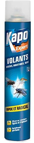 KAPO Aerosol Tous Insectes Volants - 750ML - Idéal pour se Débarrasser de Tous les Insectes Volants