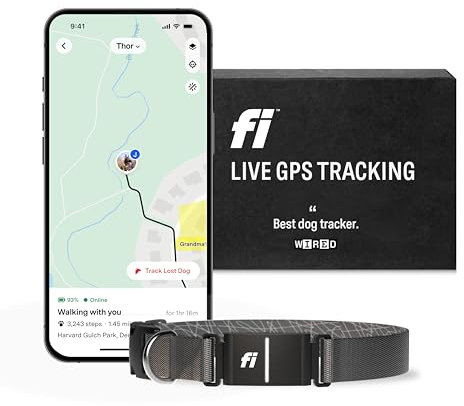 Fi Series 3 Smart Dog Collar - GPS Dog Tracker and Activity & Health Monitor, Waterproof, LED Light, Escape Alerts, Nationwide Coverage [Free 1 Year Membership] (Gray, X-Small)