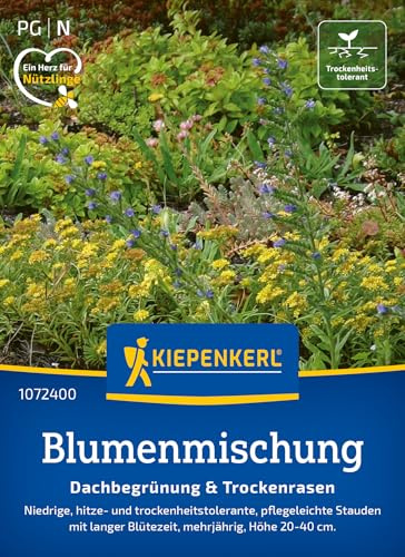 Kiepenkerl Blumenmischung Dachbegrünung & Trockenrasen 1072400 – niedrige, hitze- und trockenheitstolerante Stauden - Pflanzen, Blumensamen, Saatgut
