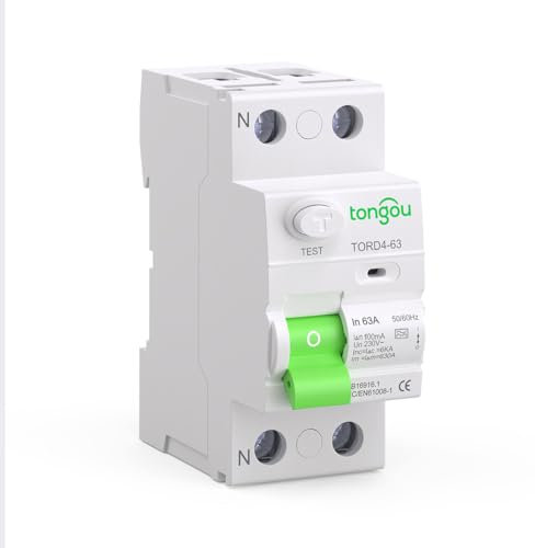 TONGOU Type A Disjoncteur Différentiel 63A 100mA 230V 1P+N, convient aux maisons familiales, aux petits bâtiments commerciaux et à d'autres scénarios