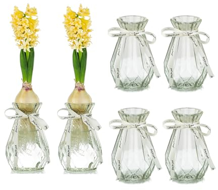 Glasseam Klarglasvasen für Blumen mit Seidenseil, 6 Stück Moderne Hyazinthenvasen Bud Avocado Vase Edelwickenvase für Hydroponikpflanzen Narzissen Orchideen für Desktop-Tisch Innenfensterbank Dekor