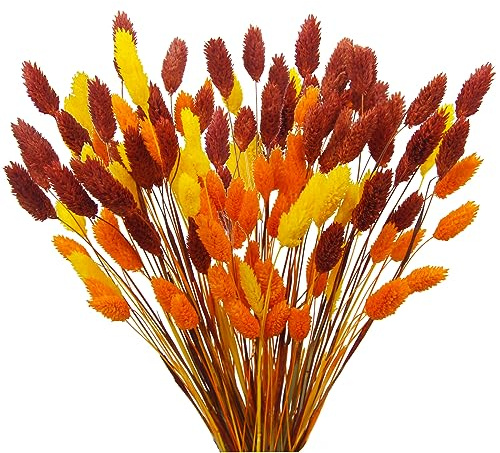 CEWUDA 100 Pièce Fleurs Séchées Naturelles Automne Bouquet de Fleurs Séchées Herbe de Pampa pour Mariage Décoration Maison Fête Vase Arrangements Floraux Séchés Décoratifs