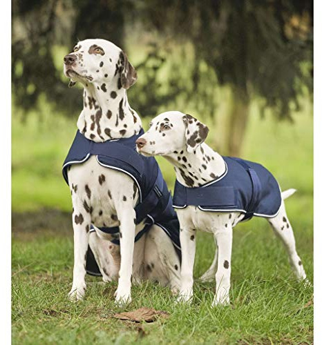 WALDHAUSEN Rain Dog Blanket, Navy, 70 cm
