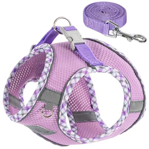 TomteNisse Dog Harness and Leash Set, No Pull Pet Harness for Small Dogs Easy Walking,Soft Breathable Small Dog Harness,Adjustable Reflective Step in Vest Harness for Puppy,Kitten, Cats
