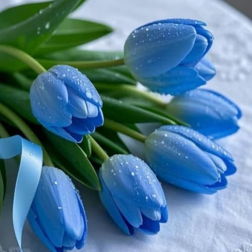Bellissimo Tulipano bulbi,Piante perenni,Tulipano pianta vera,resistenti al freddo,Tagliare,Facile da curare(non artificiali)-3 bulbi-D