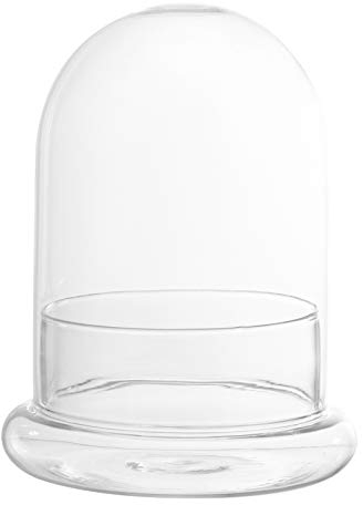 Verre Terrarium Récipient Décoratif Vitrine Affichage Plante Terrarium Bol Vase Succulent Titulaire Pot De Fleur