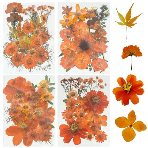 Woohome 4 Packung Getrocknete Blumen Natürliche Trockenblumen für Epoxidharz für Harz, Orange Getrocknete Gepresste Blätter, Natürliche Trockene Blätter für DIY Harz Schmuck Crafts Art