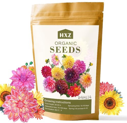 Premium-Dahlien-Bommel-Blumensamen - 950+ Samen für die lebendige Gartenpflanzung | Einfach zu züchtende Dahliensamen