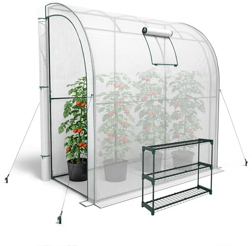 KANWOD Serre de Jardin avec Étagère, 2 Portes Enroulables et Fenêtre, Résistante à l'hiver, Stable & Facile à Monter, Serre d'hivernage pour Terrasse et Jardin, 100×200×210 cm