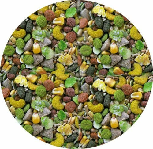Rat Food 10kg 5kg 3kg 2kg 1kg 500g Mixed Complete Muesli Food For Rats (10kg)
