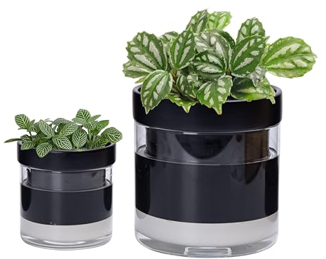 Phoenix Vine 15,2 cm 10,2 cm Selbstbewässernder Terrakotta-Pflanztopf, schwarzer Terrakotta-Ton mit Glasreservoir für Zimmerpflanzen, Kräuter, Blumen, 52-C-G-46