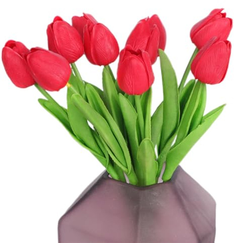 Bulbi Di Tulipani Bulbi Di Tulipani per Piantare Bulbi Di Narcisi Canadesi Bulbi per Piantare Fiori Artificiali Canadesi 20 Bulbi Di Tulipani Realistici Bulbi Di Tulipani Finti Perenni Rosso Brillante