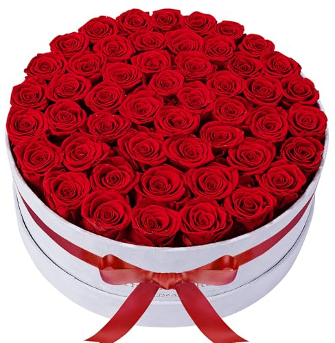 50 Piece Roses in a Velvet Box, Flowers for Delivery, Presereved Flowers Birthday Gifts for Women Mom and Wife (Red)
