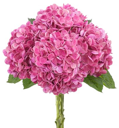 LINSIE 4 Pcs Artificial Hydrangea Silk Flowers with Stems, 19.7 Rose Pink Faux Hydrangeas Bouquet, 240 Petals, UV Resistant & Waterproof Fake Flower for Outdoor Wedding Home Decor