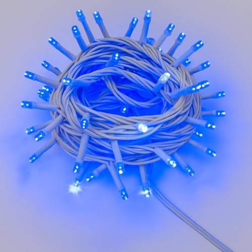 Elektronova Catena Luminosa 100 LED, 10Mt, Luce Blu, Cavo Bianco, IP65, Prolungabile, Effetto Flash Bianco, ghirlanda nataliza, negozi, balcone